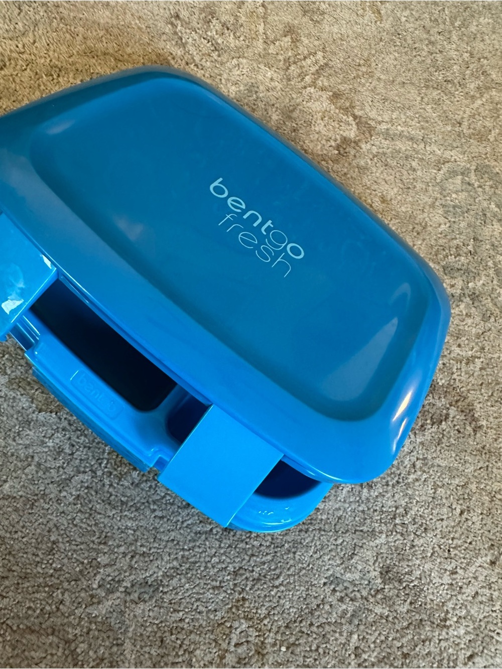 Lunch Container — Vibrant Blue Food Storage